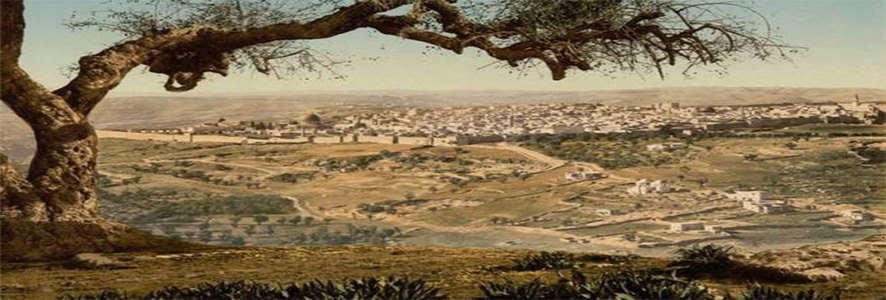 الأزمات الاقتصادية عبر التاريخ الإسلامي
