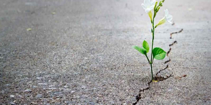 التفاؤل والأمل في السيرة النبوية