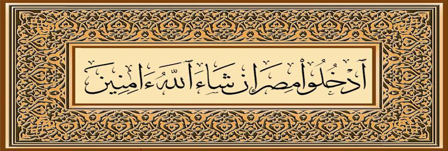 علاقة مصر بالدولة الإسلامية