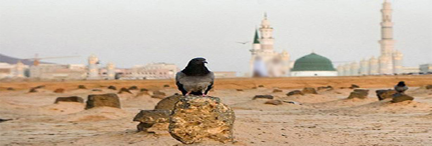 مساجد المدينة وبقيع الغرقد