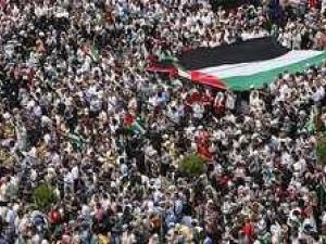 المهنيون ونصرة فلسطين