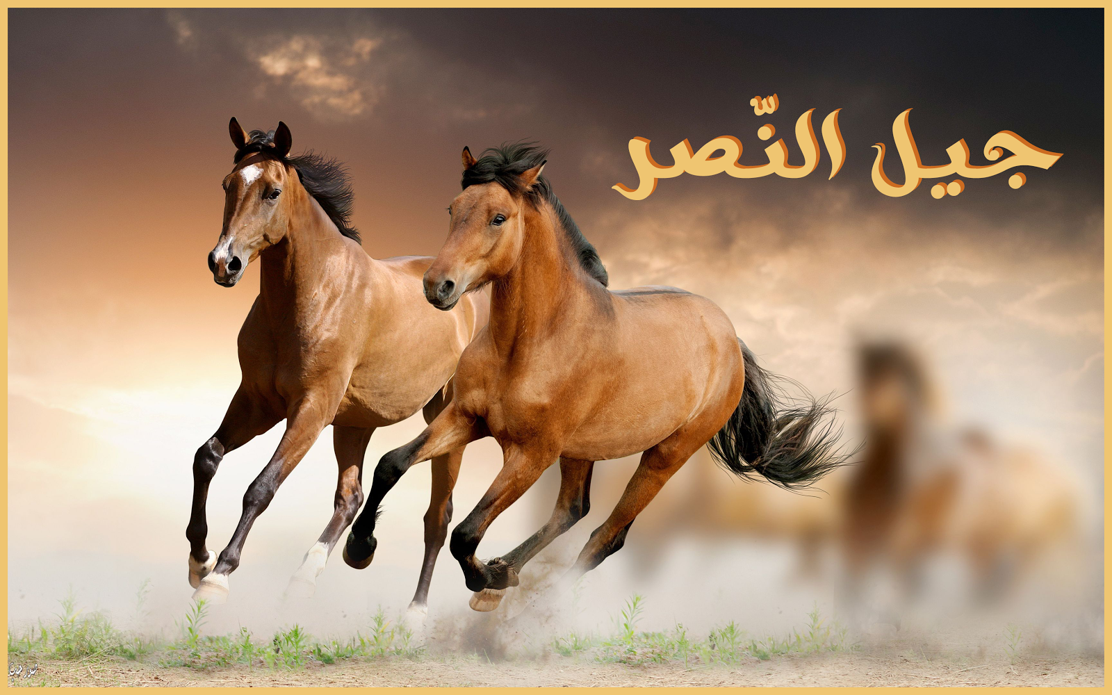 تأسيس جيل النصر .. نور الدين زنكي نموذجا