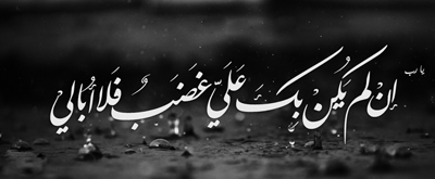 رحلة الطائف.. روايات وتحليلات