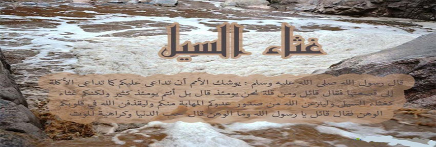 غثاء كغثاء السيل