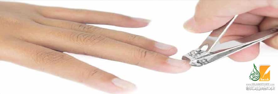 سُنَّة تقليم الأظفار