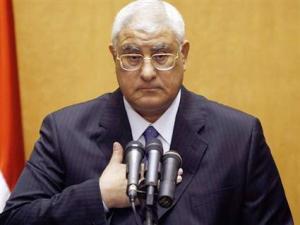 الكسب غير المشروع: ثروة العادلي 18 مليار جنيه و42 قصرا