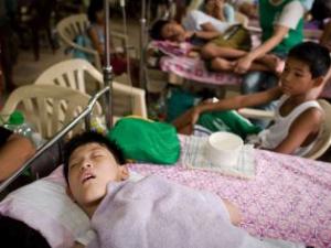 Dengue amenaza al 40 % de la población mundial