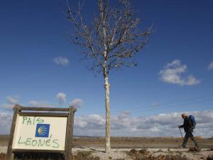 El Camino de Santiago une a musulmanes, hindúes, bahá’ís, judíos y cristianos
