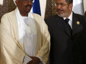 مزرعة مشتركة بين مصر والسودان للإنتاج الحيواني بولاية سنار