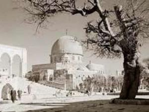 السكان في فلسطين التاريخية