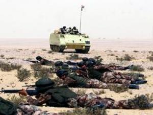 التلفزيون المصري: مقتل 11 إرهابيا والقبض على 23 في سيناء