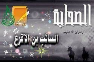 السائب بن الأقرع