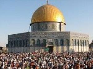 المعلمون ونصرة فلسطين المعلمون ونصرة فلسطين