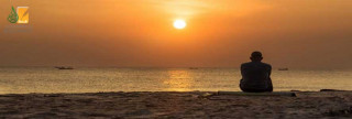 سُنَّة عدم سب الريح