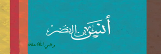 أنس بن النضر أنس بن النضر