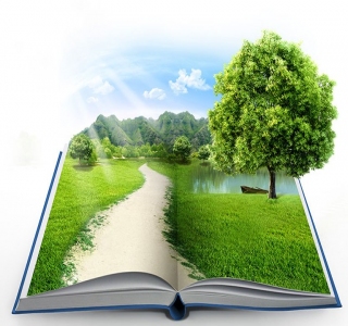 تعامل الإسلام مع قضية البيئة