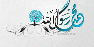 وصف الله عز وجل لرسوله صلى الله عليه وسلم بكونه مبشرًا ونذيرًا