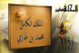 الملك الكامل محمد بن غازي بن العادل