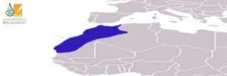 الأدارسة في المغرب الأقصى الأدارسة في المغرب الأقصى