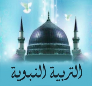 السلمية المطلقة.. مخاطر وحلول