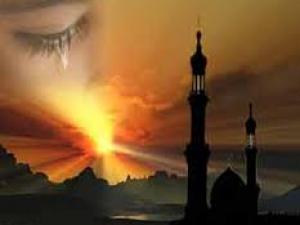 المستشرق حسين روف .. عالم الأديان والاجتماع